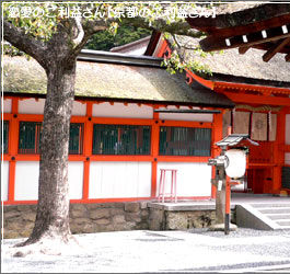 吉田神社で結婚